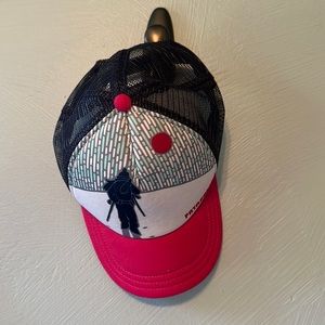 Patagonia Trucker Ski Hat